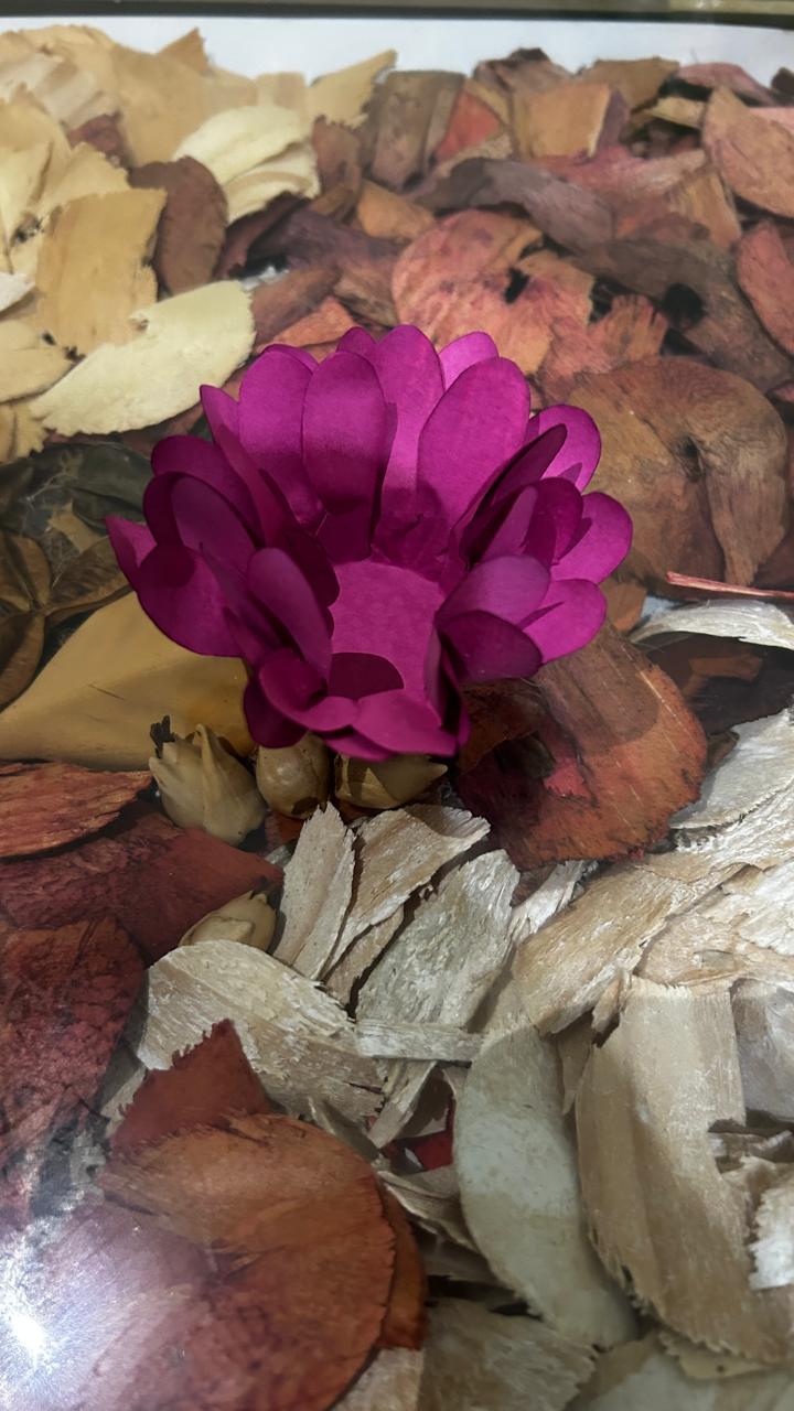 Forminha Aylla – Delicada e Feita à Mão | Papel Tingido | Kit 100 unid Forminha Aylla – Delicada e Feita à Mão | Papel Tingido | Kit 100 unid