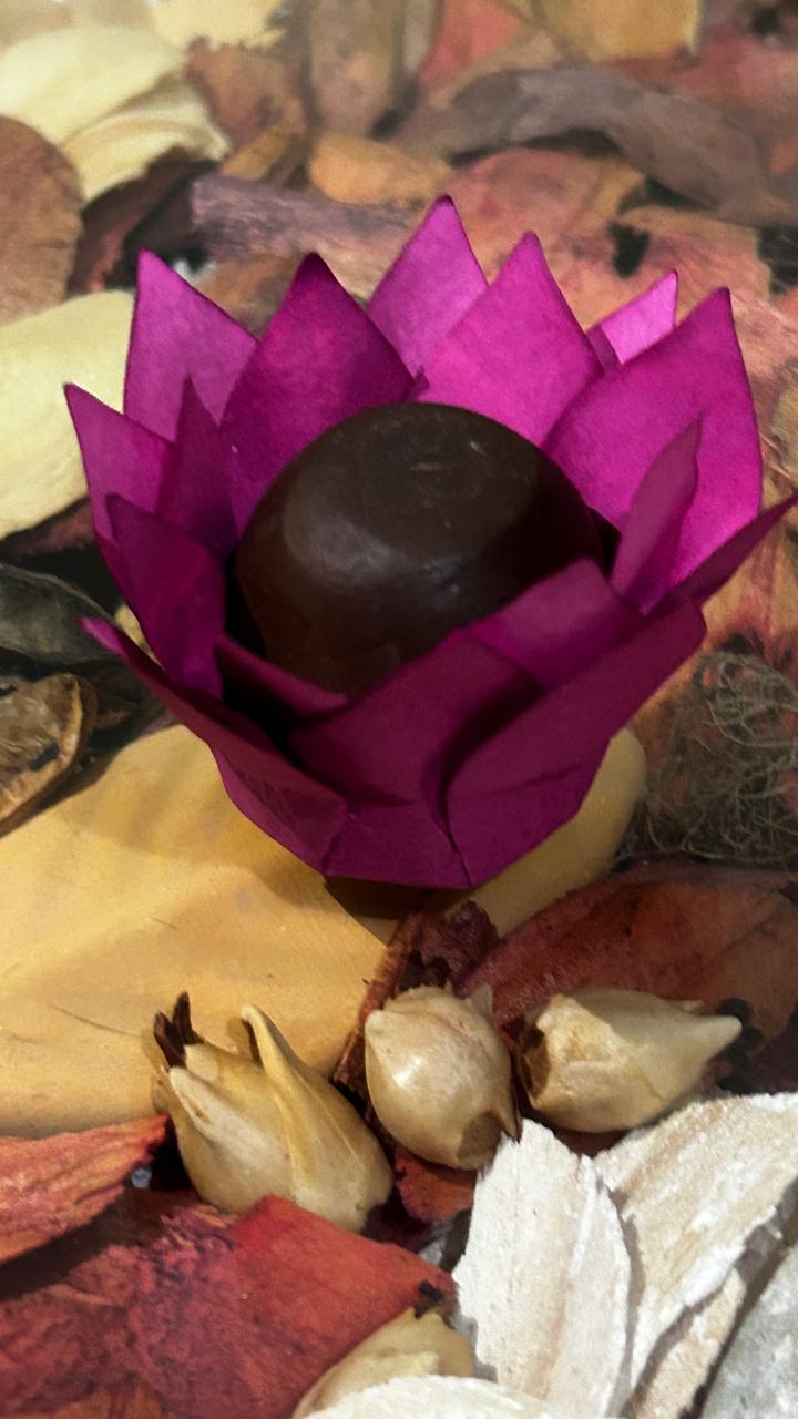 Forminha Peonia – Leve, Elegante e Minimalista | 100 unid Forminha Peonia – Leve, Elegante e Minimalista | 100 unid